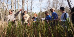 Photo of Students in Everglades