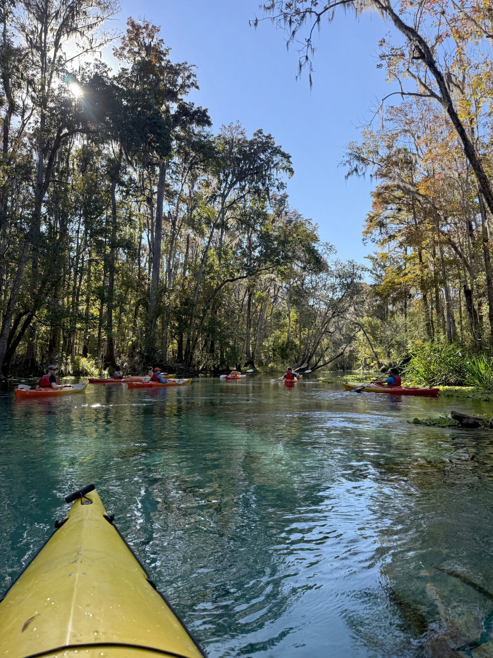 Photo from UF Law's Early Environmental Law Scholars Conference field trip to Ichetucknee Springs