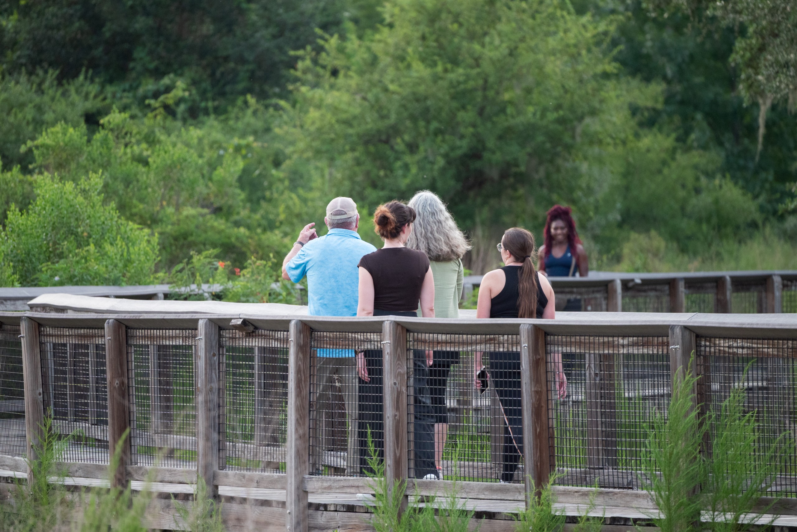 A group of individuals walks along a wooden pathway surrounded by greenery, with some taking photos.