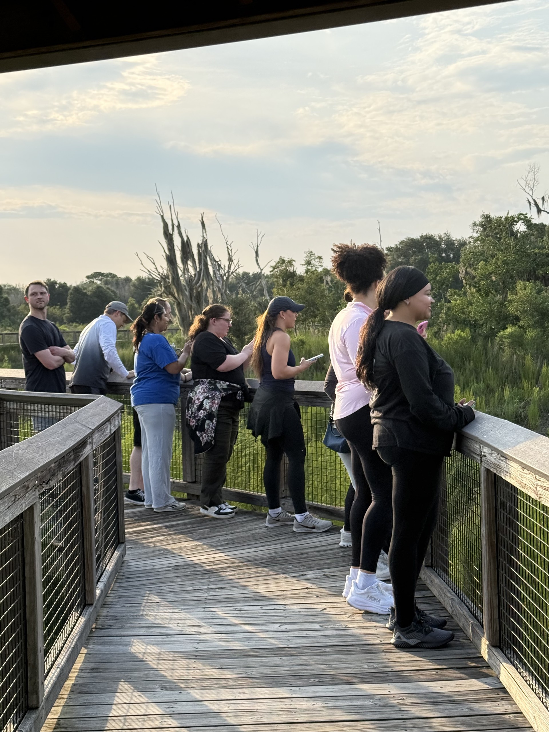 A group of people stands on a wooden viewing platform, looking out at a natural landscape with trees and water. The sky is partly cloudy, and the scene conveys a sense of quiet observation.