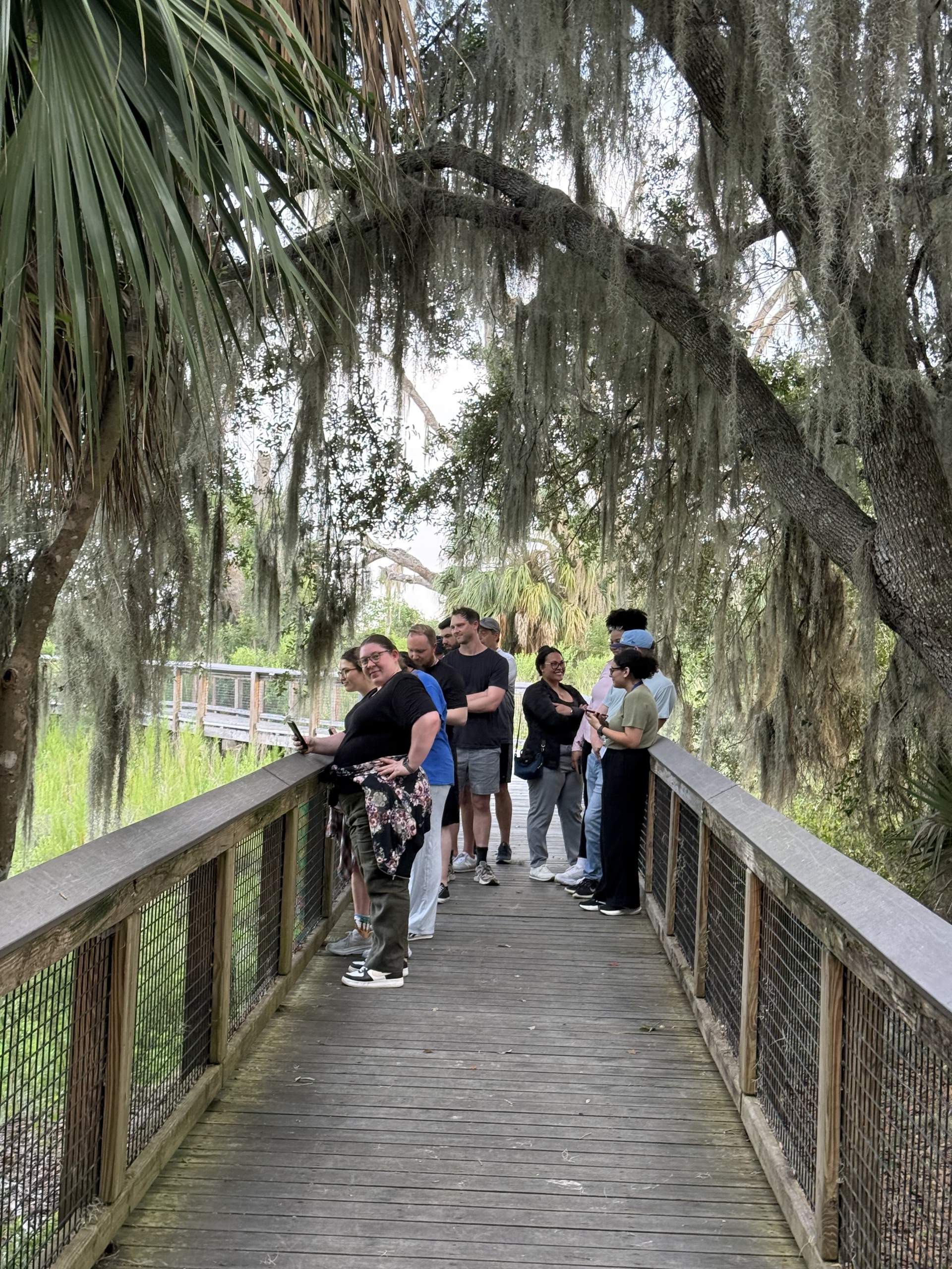 A group of people stands on a wooden walkway surrounded by lush greenery and hanging moss. They appear to be engaged in conversation and observing their surroundings.